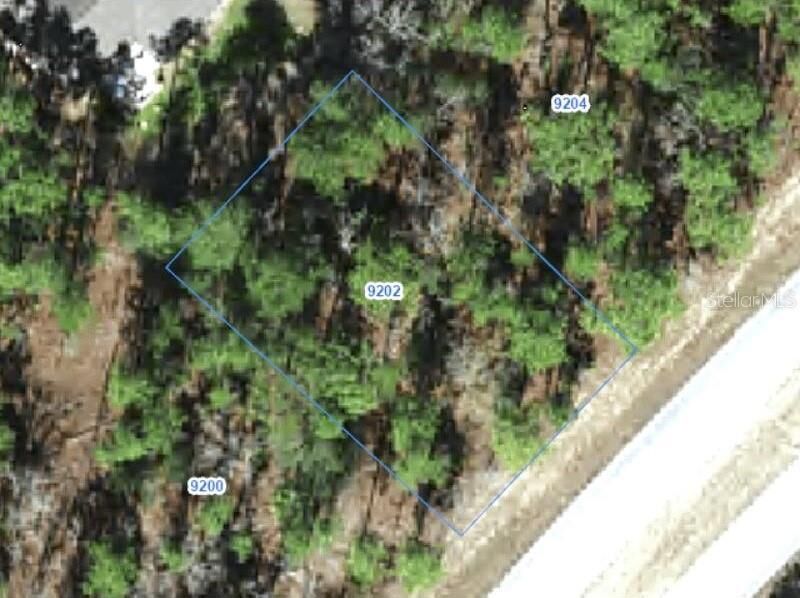 Property Photo:  9202 N Citrus Springs Boulevard  FL 34433 