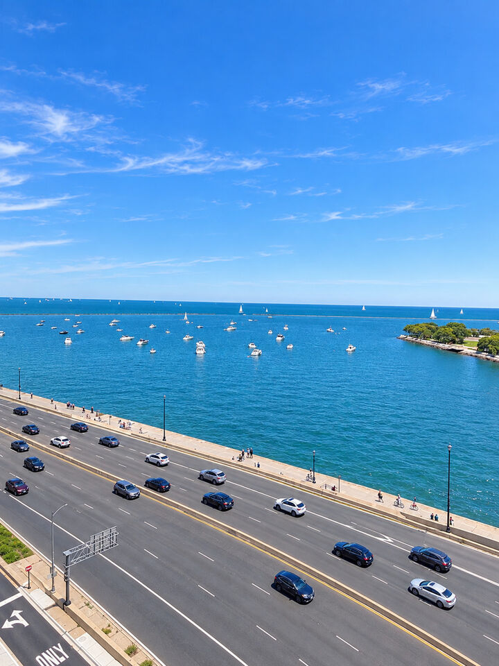 Property Photo:  600 N Lake Shore Drive 1011  IL 60611 