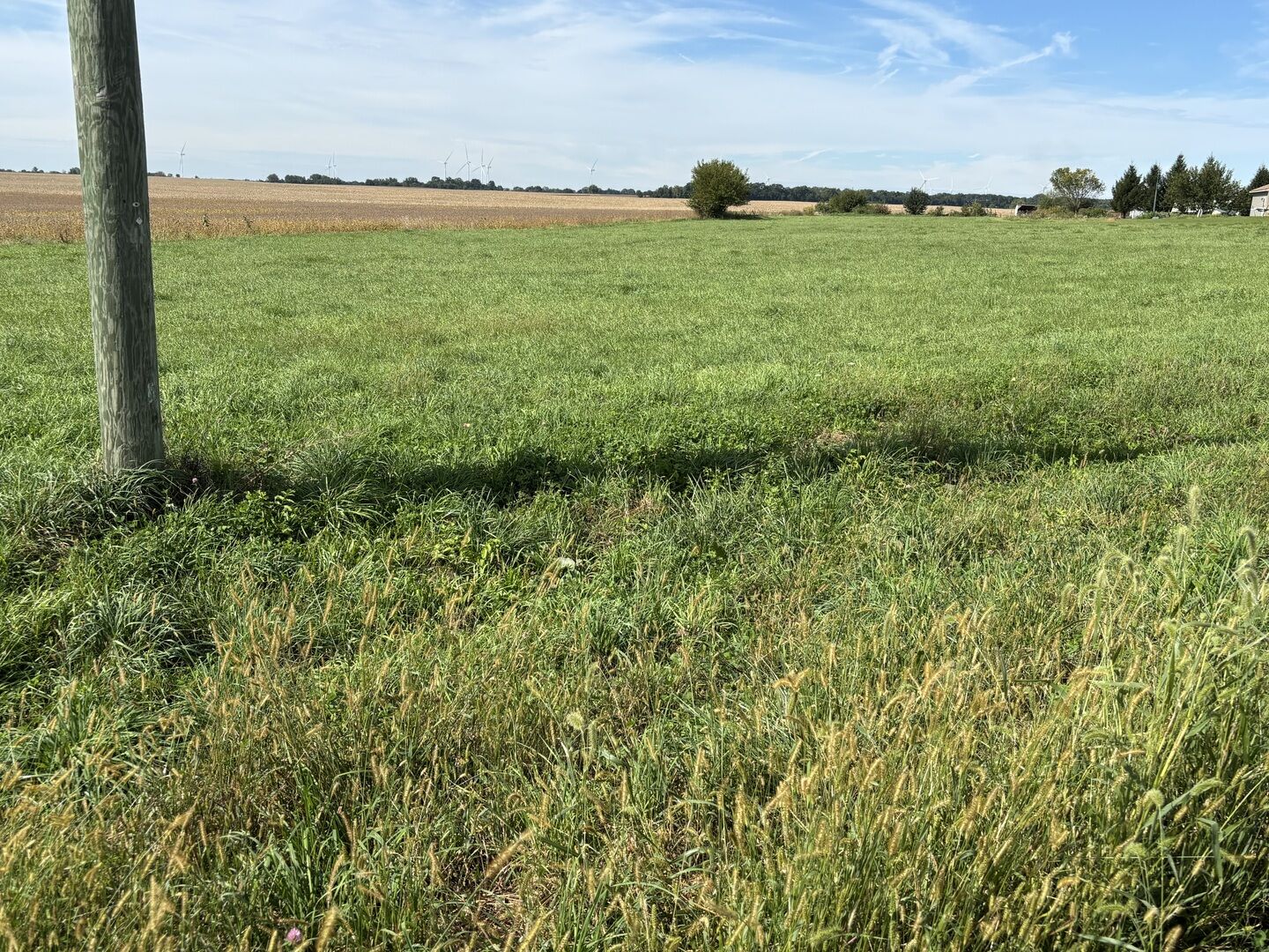 Property Photo:  3583 S Paw Paw Road  IL 61353 