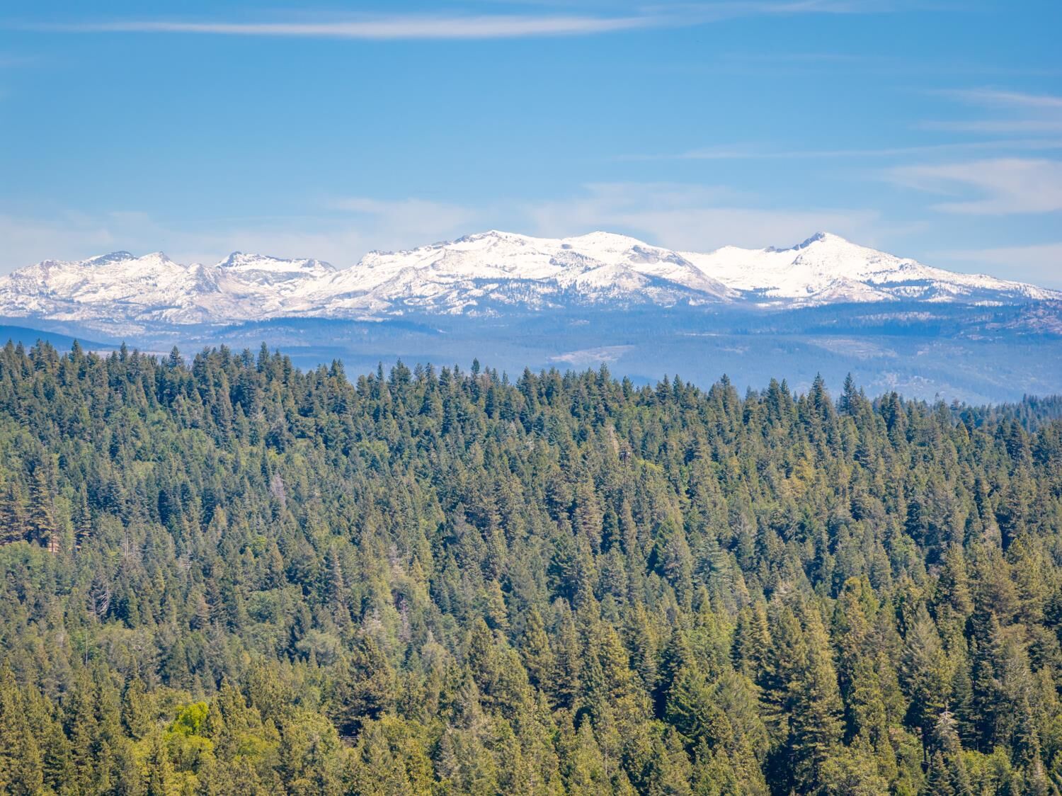 Property Photo:  6420 Starkes Grade Road  CA 95726 