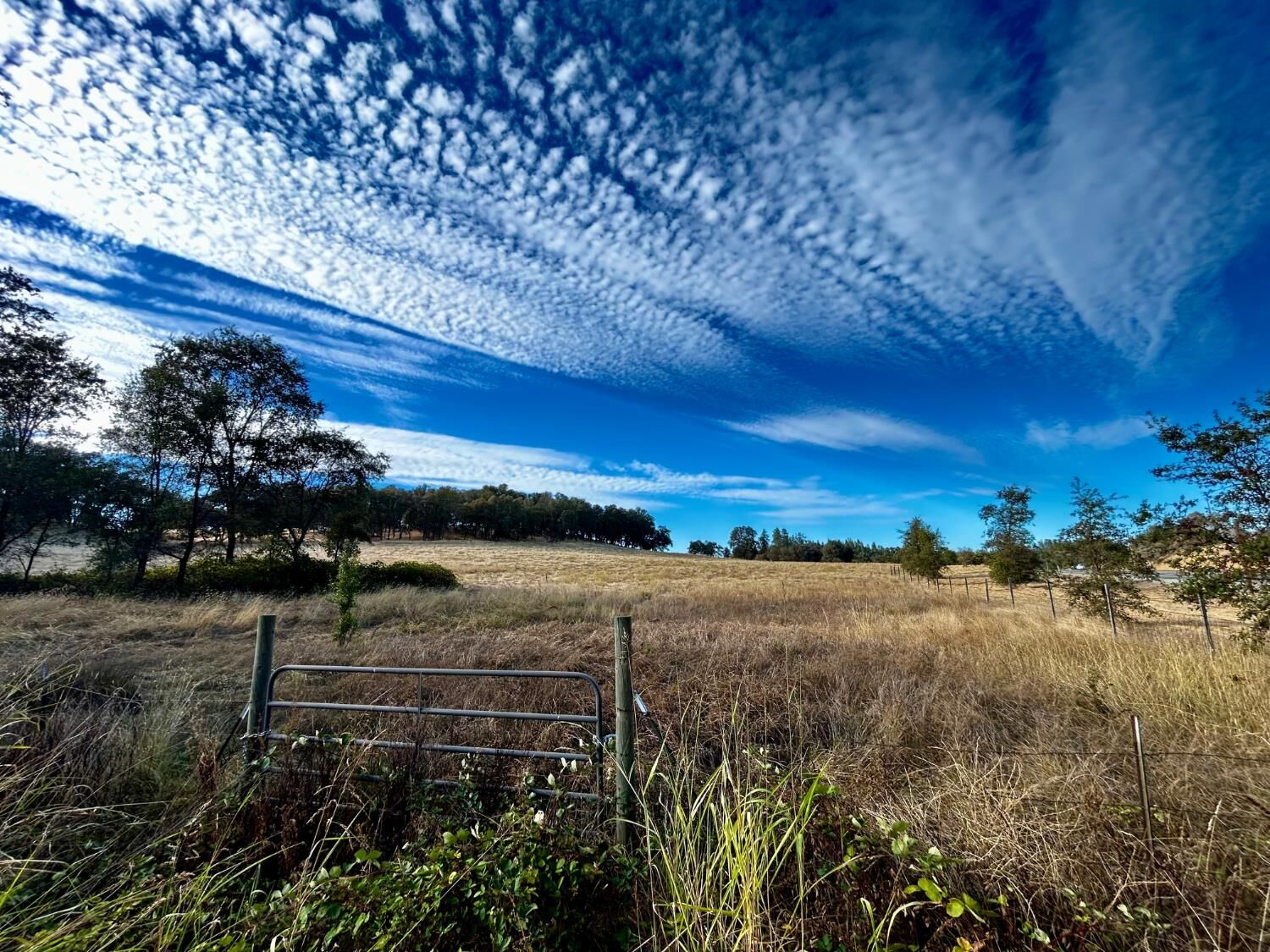 Property Photo:  23882 State Highway 49  CA 95602 