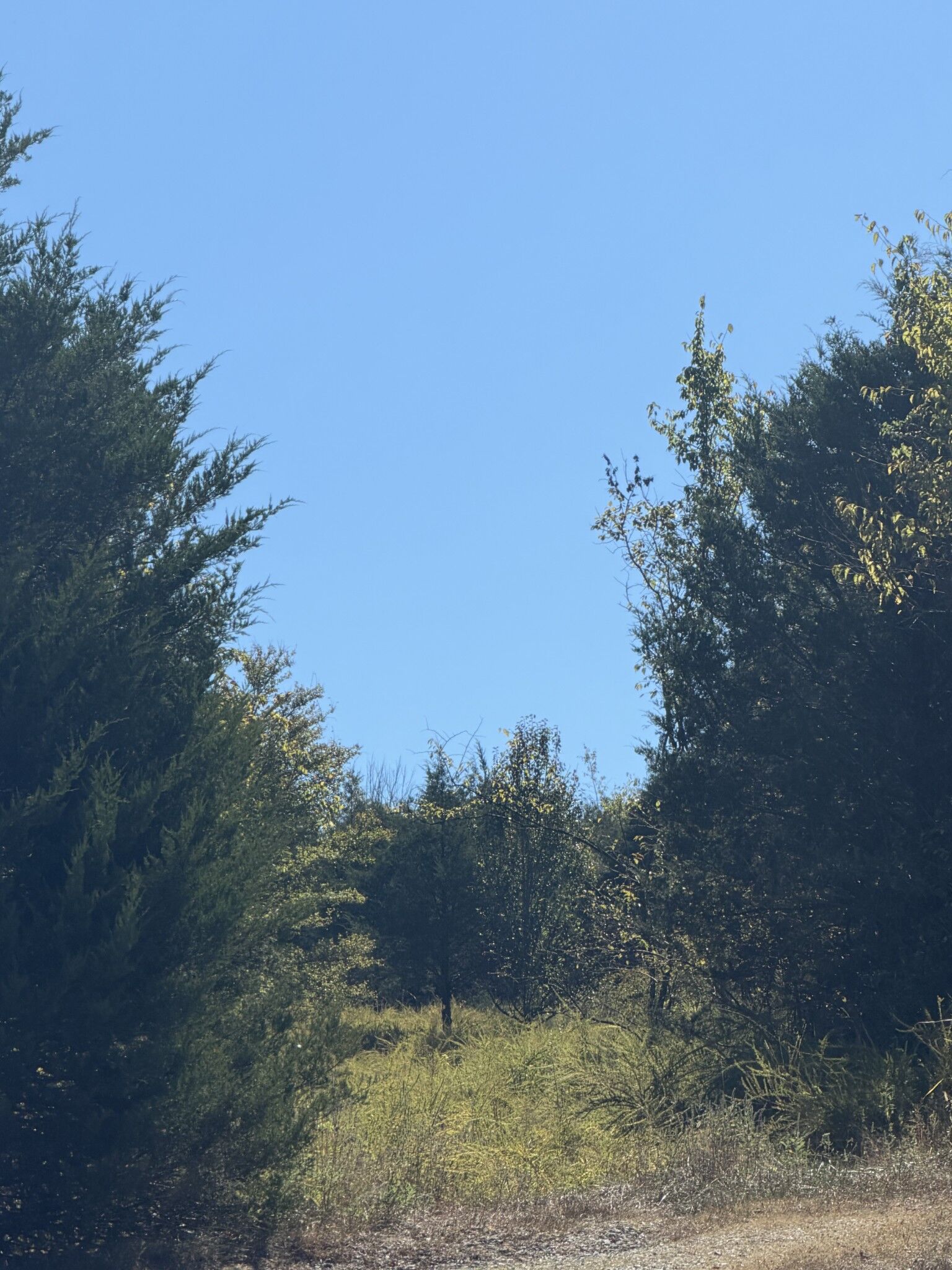 Property Photo: 0 Bryant Lane TN 37190