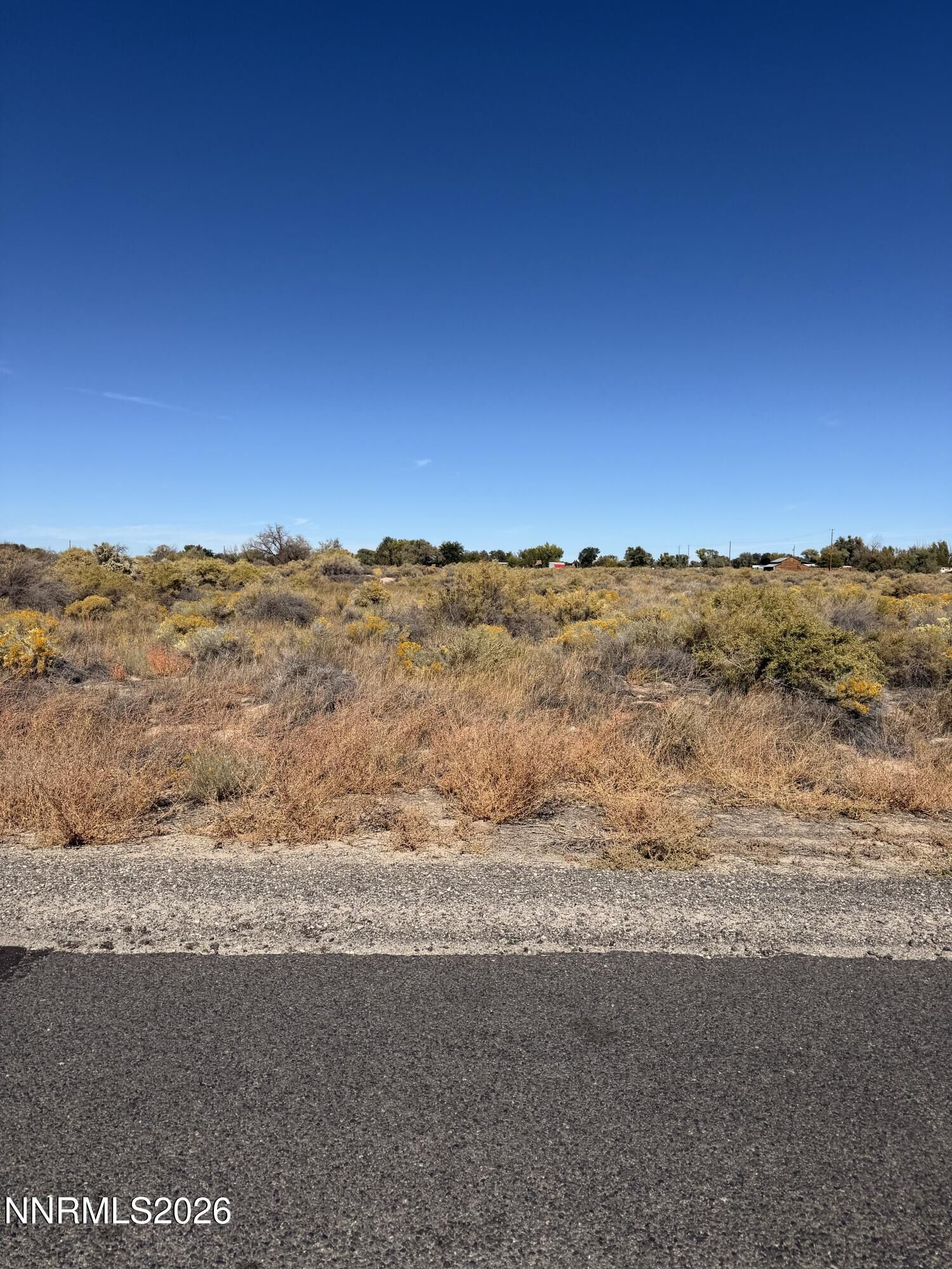 Property Photo:  4820 Schindler Road  NV 89406 