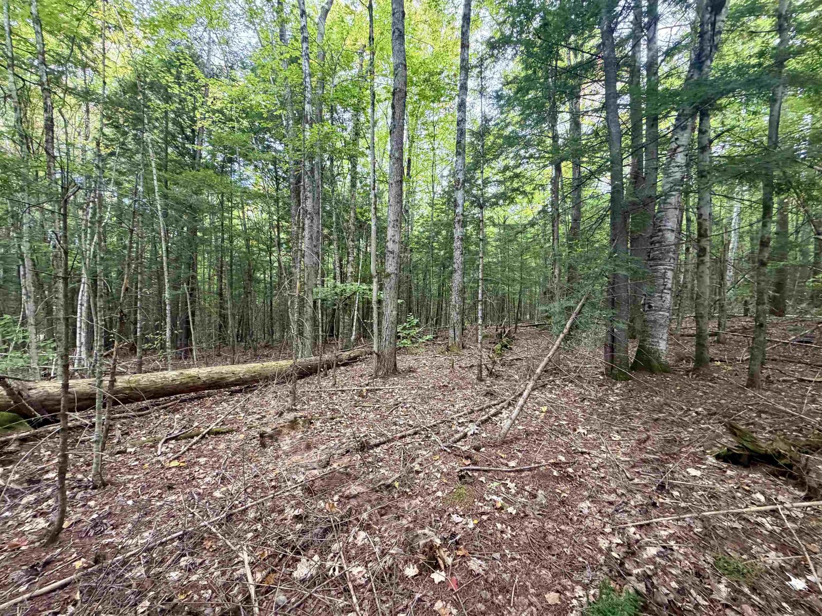 Property Photo: Windmill Road NH 03223