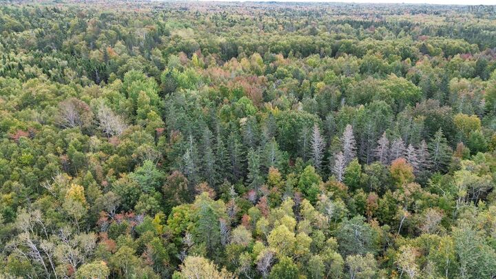 Property Photo:  Lot 1 Seaman Street  NS B0S 1N0 
