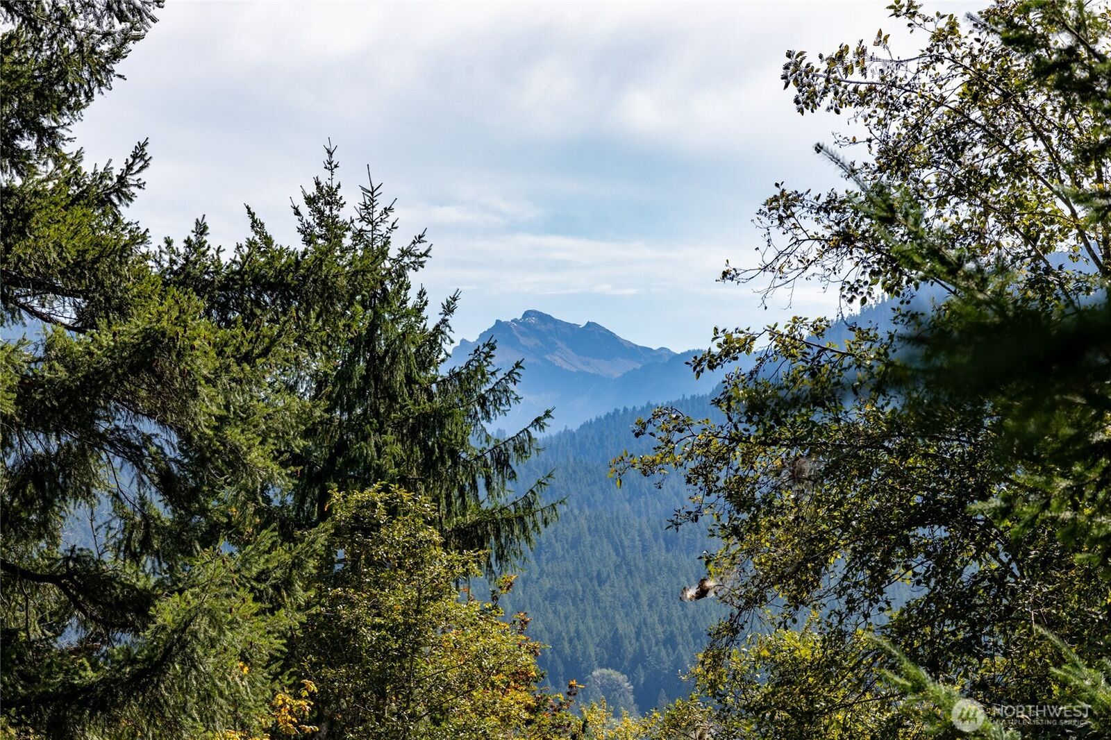 Property Photo:  199  Hinkle Tinkle Lane  WA 98361 