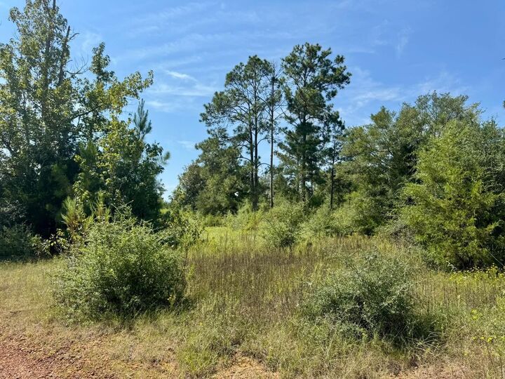 Property Photo: Tract 1 Private Rd 8385 TX 77660-9999