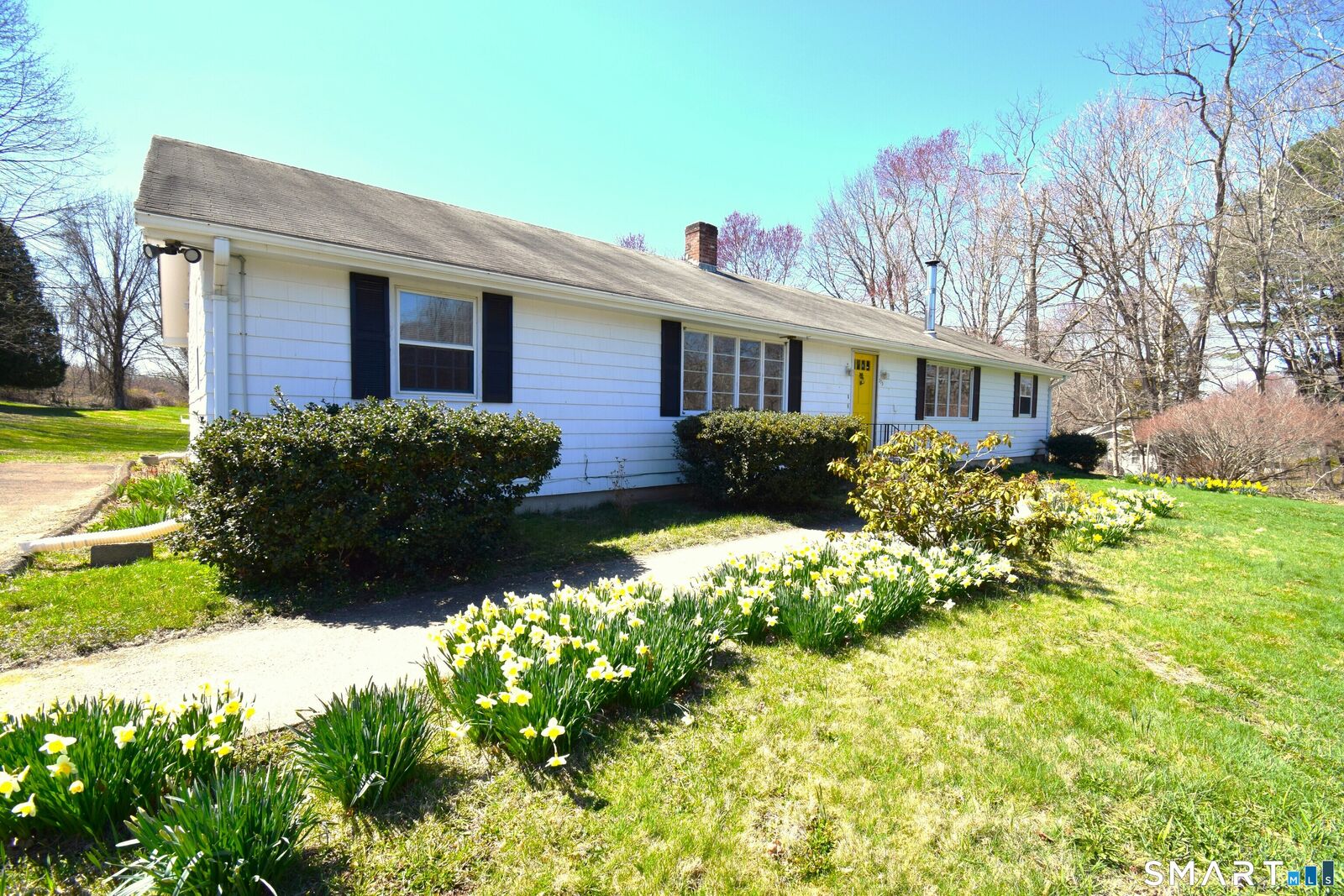 Property Photo:  273 Horse Pond Road  CT 06443 