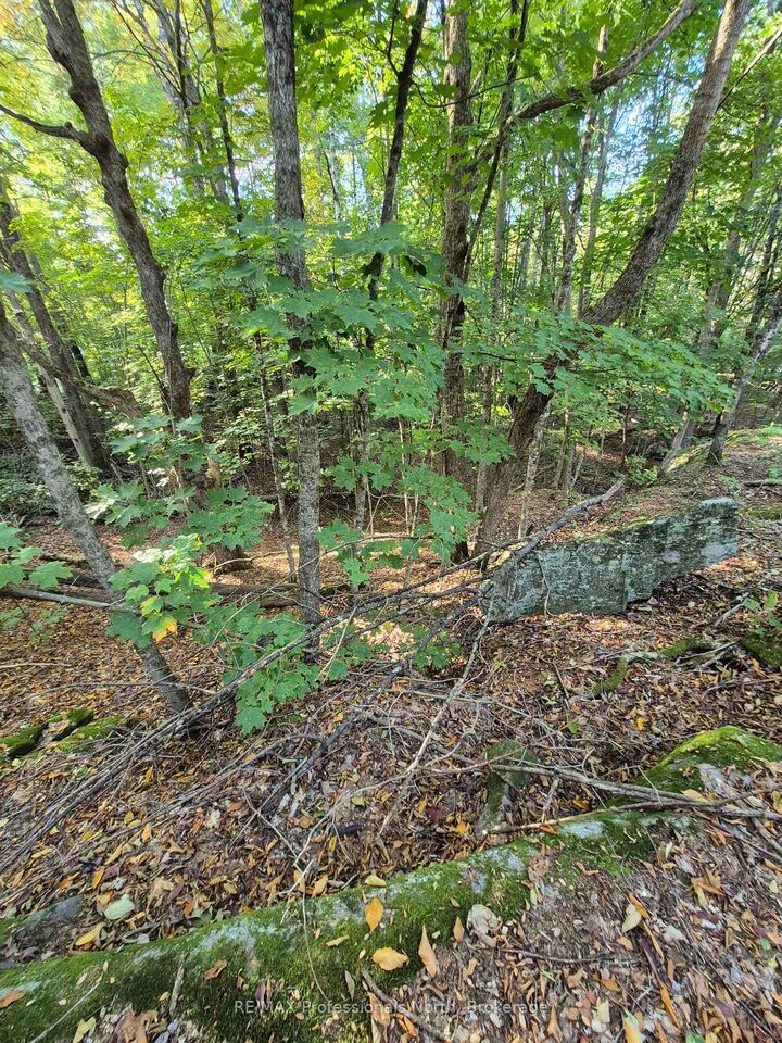 Property Photo:  1257 Hamilton Road  ON K0M 2K0 
