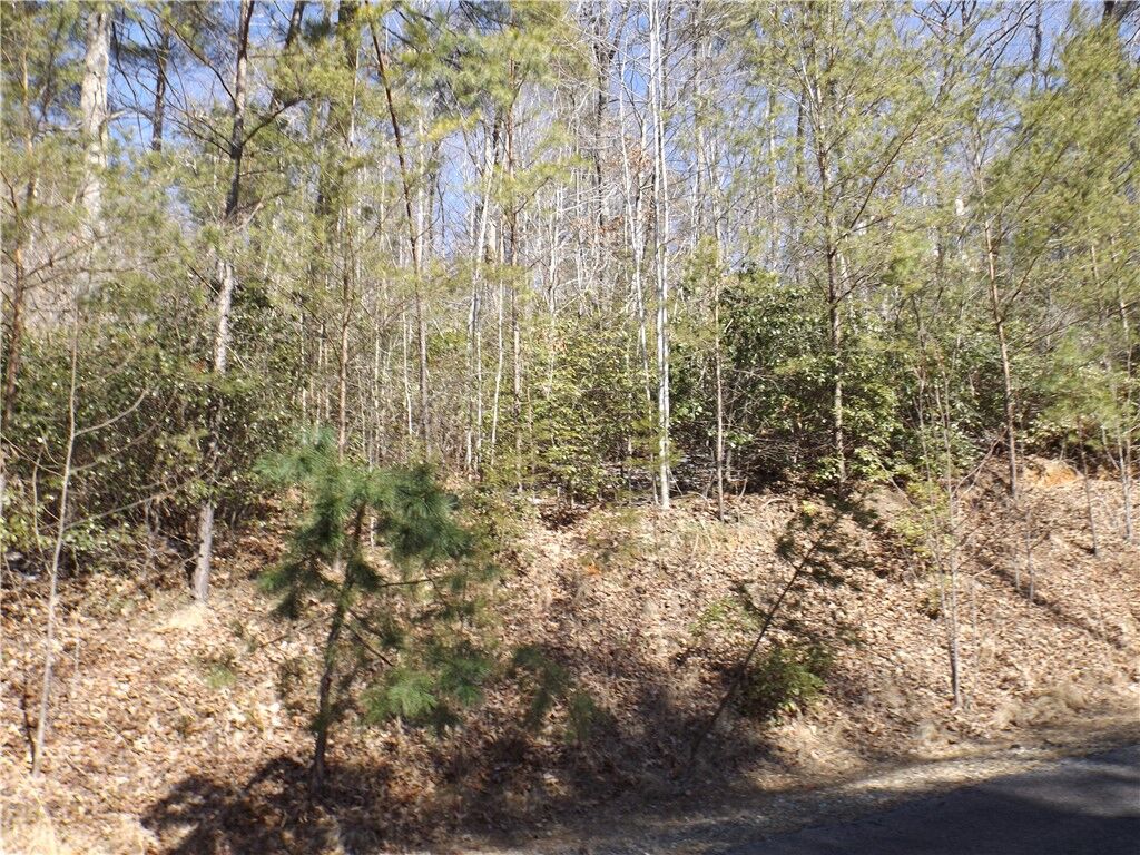 Property Photo:  130 Fairway Woods  SC 29671 