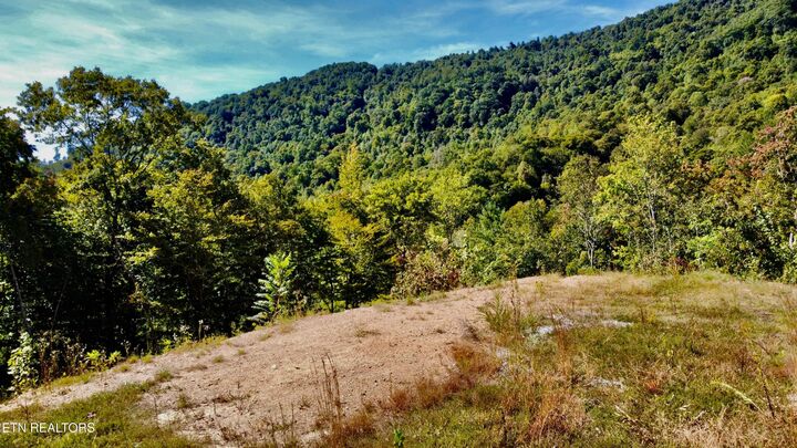 Property Photo:  2774 Stanley Creek Rd  TN 37841 