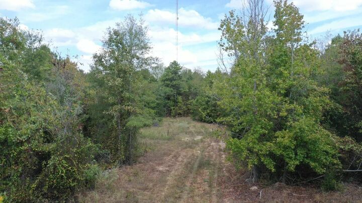 Property Photo:  1183 Sarber Road  TX 75657 
