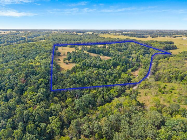 Property Photo:  000 Bobcat Road  MO 65742 
