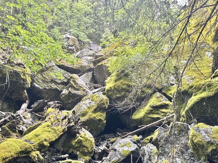 Property Photo: 12575 Buck Mountain Road CA 95526
