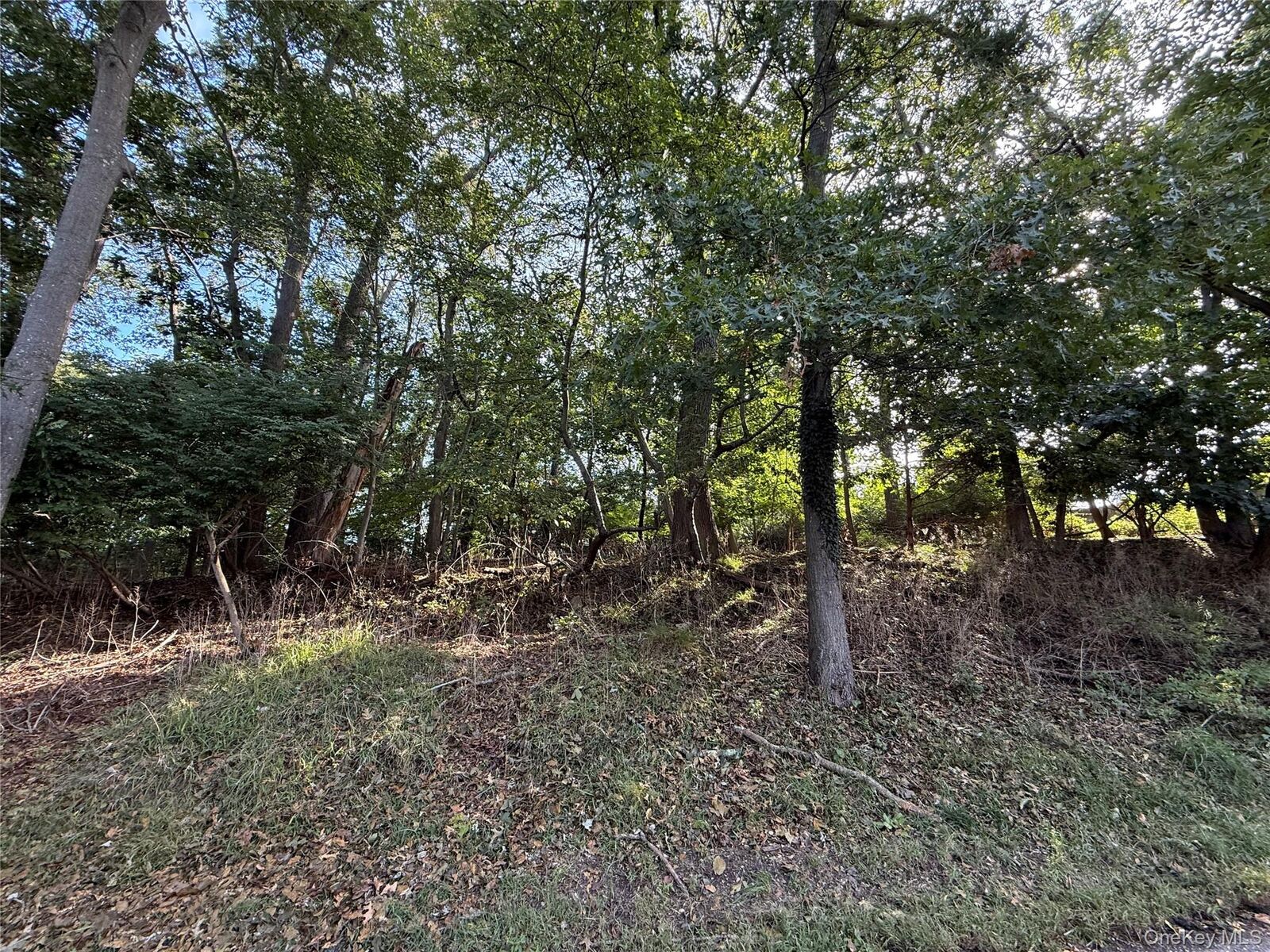 Property Photo:  156 Maple Road  NY 11792 