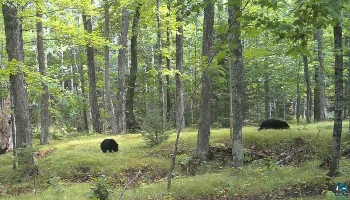 Property Photo: 63xx E County Rd B WI 54874