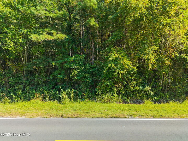 Property Photo: 2473 Peacock Road NC 28472