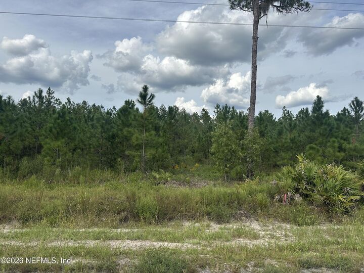 Property Photo:  Lot 17 E Hillsborough Avenue  FL 32140 