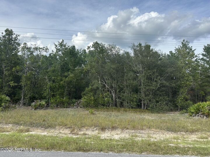 Property Photo: Lot 17 E Hillsborough Avenue FL 32140