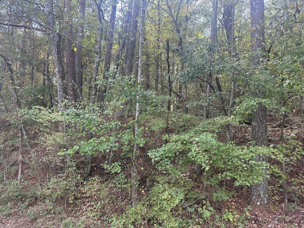 Property Photo:  0 Carver Mill Road  GA 30175 