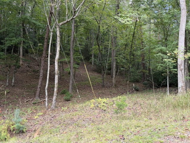 Property Photo:  Lot 133 Seneca Drive  GA 30540 