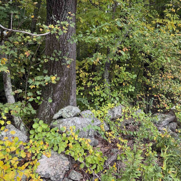 Property Photo:  Stowell Road  NH 03110 