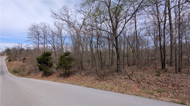 Property Photo:  Lot 17 Kirkpatrick Lane  AR 72715 