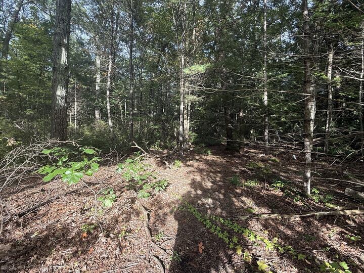 Property Photo: Lot 6 Northwest Road MA 01085