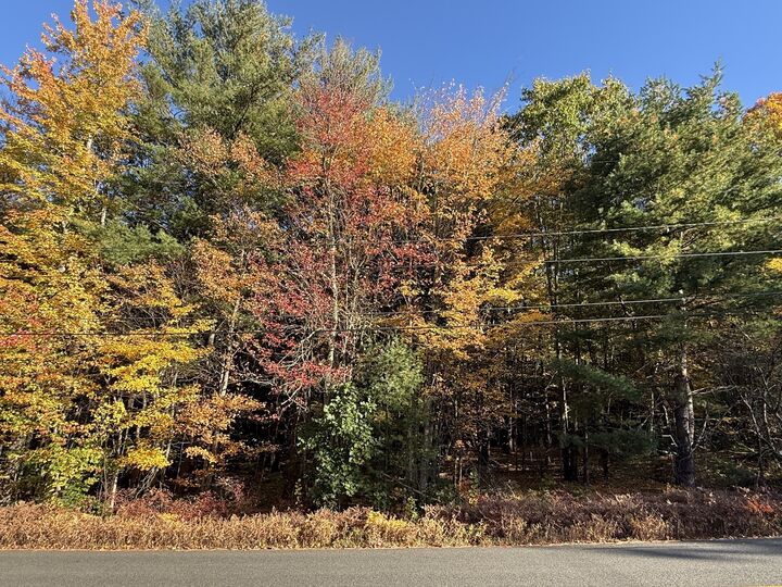 Property Photo: Lot 6 Northwest Road MA 01085