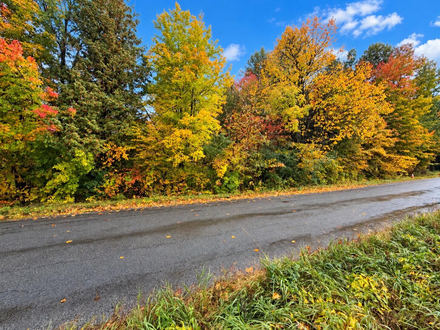 Property Photo:  00 Eddy Road  NY 12958 