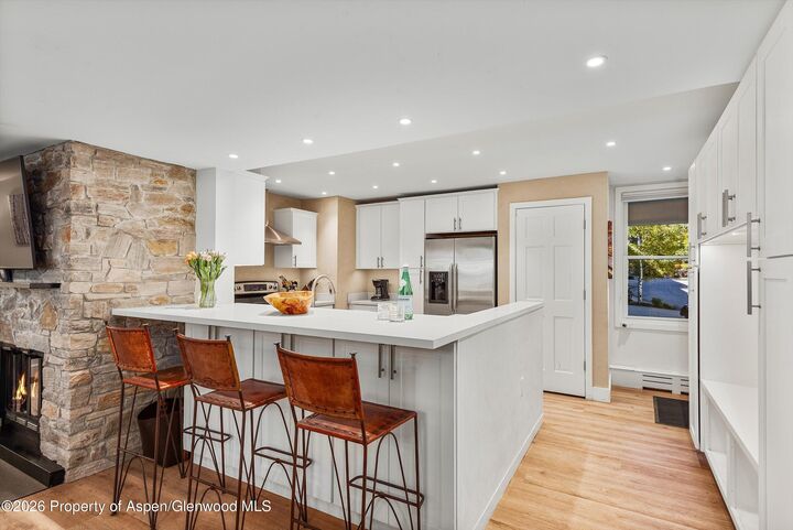 Property Photo:  425 Wood Road 2  CO 81615 