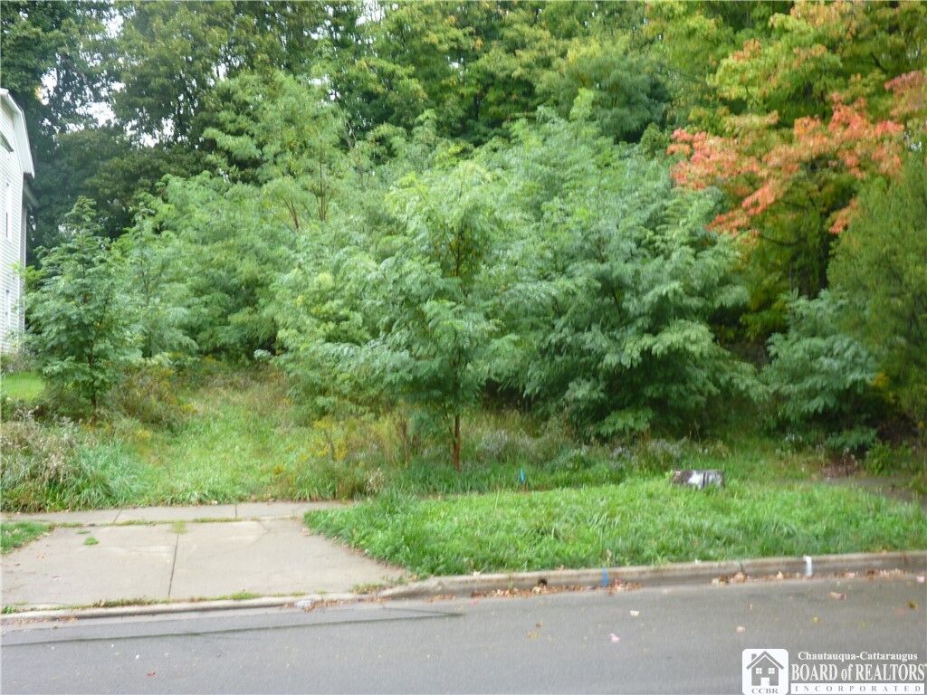Property Photo: 341 E 5th Street NY 14701