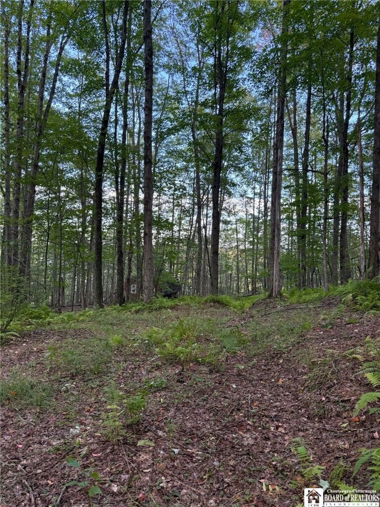 Property Photo:  47 Studer Road  NY 14708 