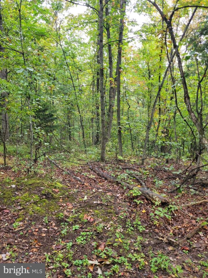 Property Photo:  Hawks Way  WV 26714 