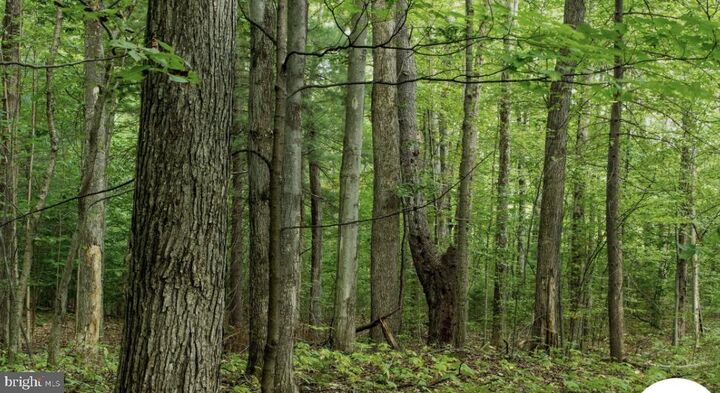 Property Photo:  Patuxent River  MD 20724 