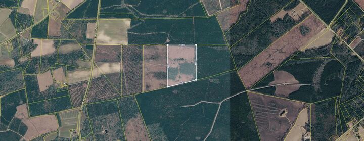 Property Photo: 0 Tom Cribb Rd. SC 29554