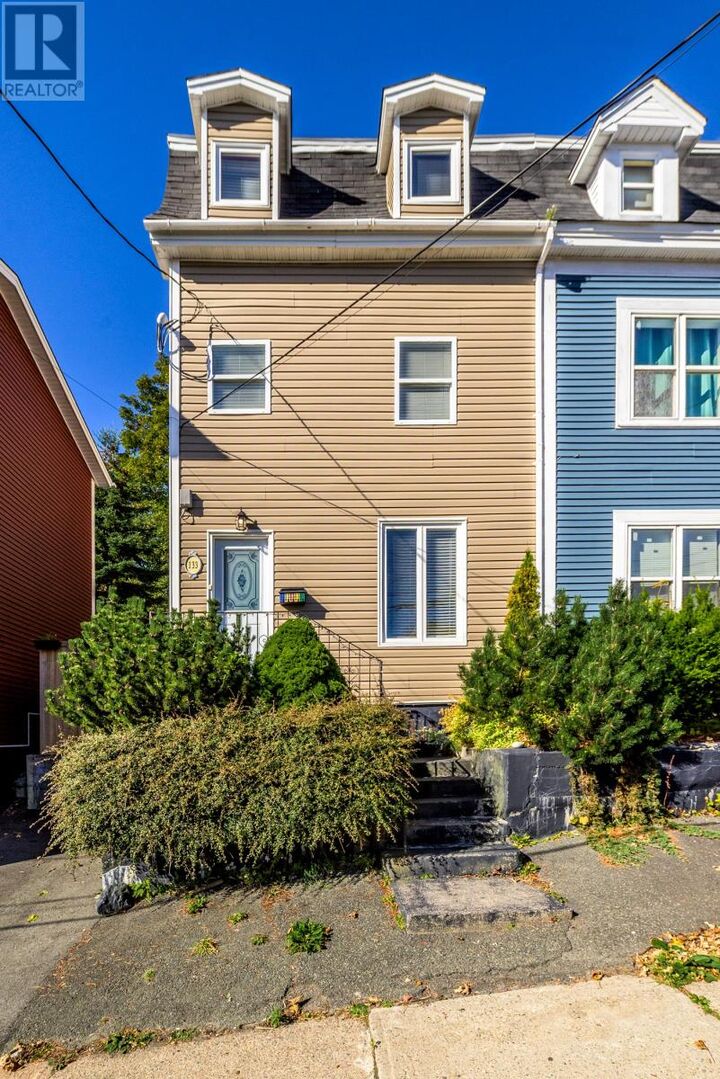 Property Photo:  133 Patrick Street  NL A1E 2S9 