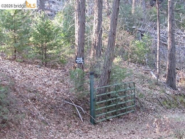 Property Photo:  0000 Star Ridge Rd.  CA 95383 