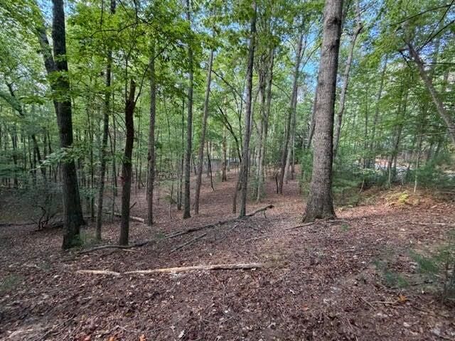 Property Photo: 556 Satsuma Court S GA 30540