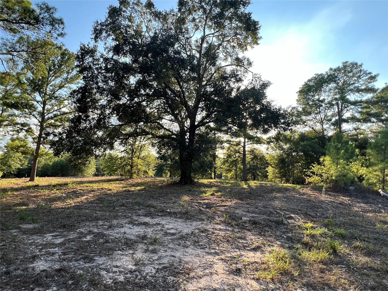 Property Photo:  4604 Highway 105 E  TX 77868 