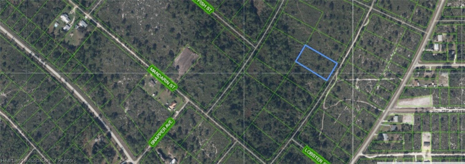 Property Photo:  718 Dolphin Avenue  FL 33852 