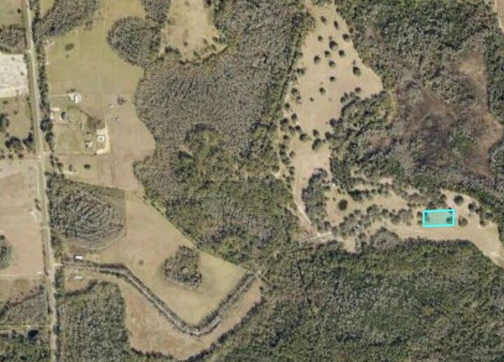 Property Photo: Commonwealth Avenue N FL 33868