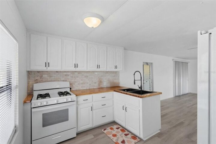 Property Photo:  10004 Hamp Drive  FL 33525 