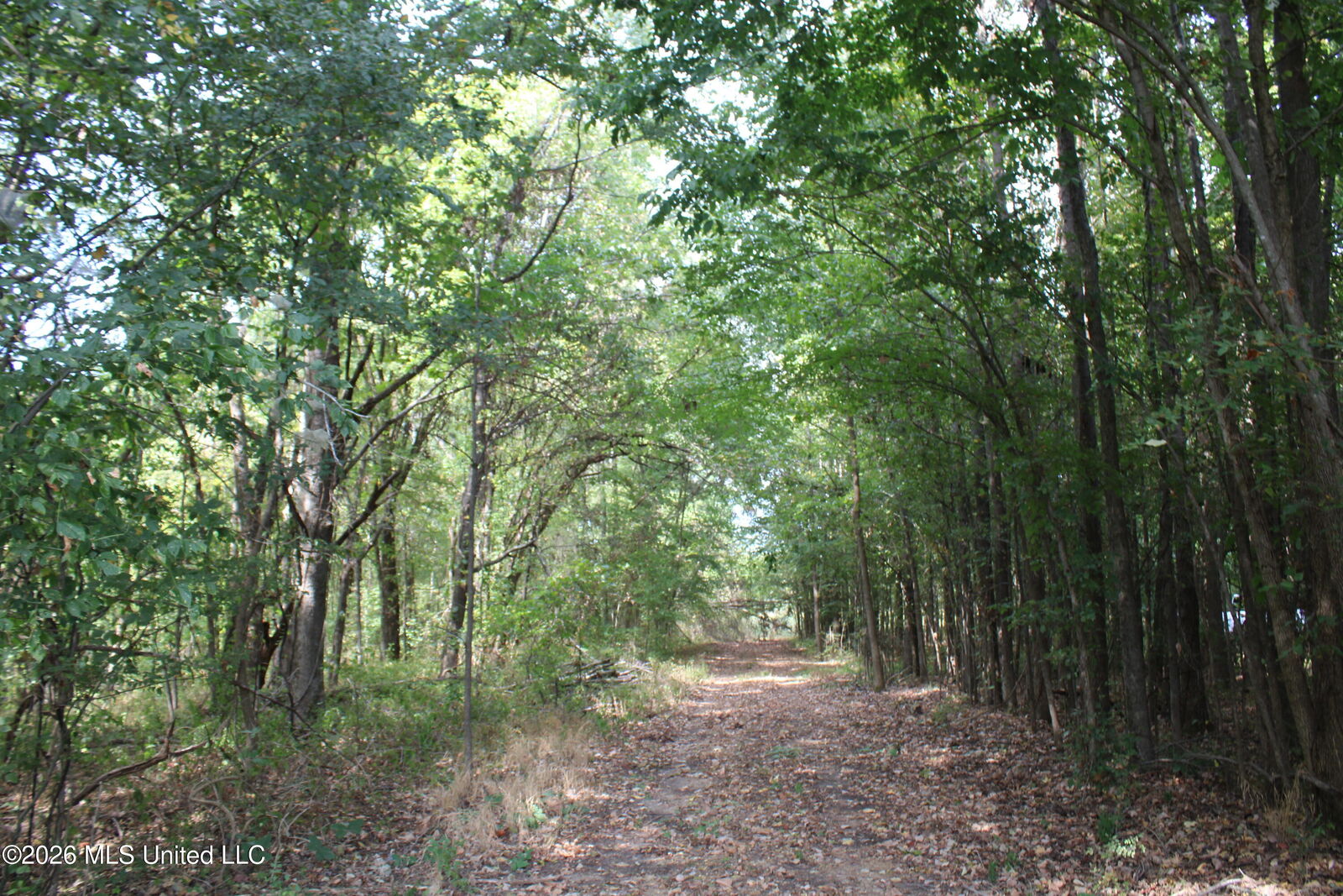 Property Photo:  6 Star Landing Road  MS 38651 