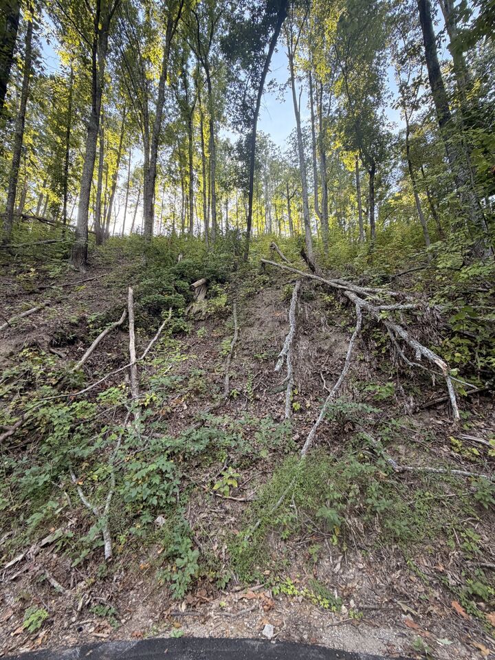Property Photo: 0 Whippoorwill Hill Way TN 37862