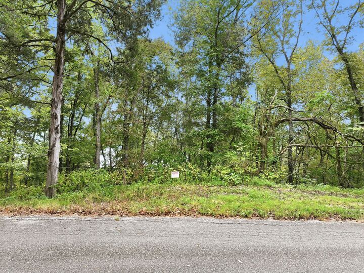 Property Photo:  0 Horseshoe Bend Ln  TN 38560 