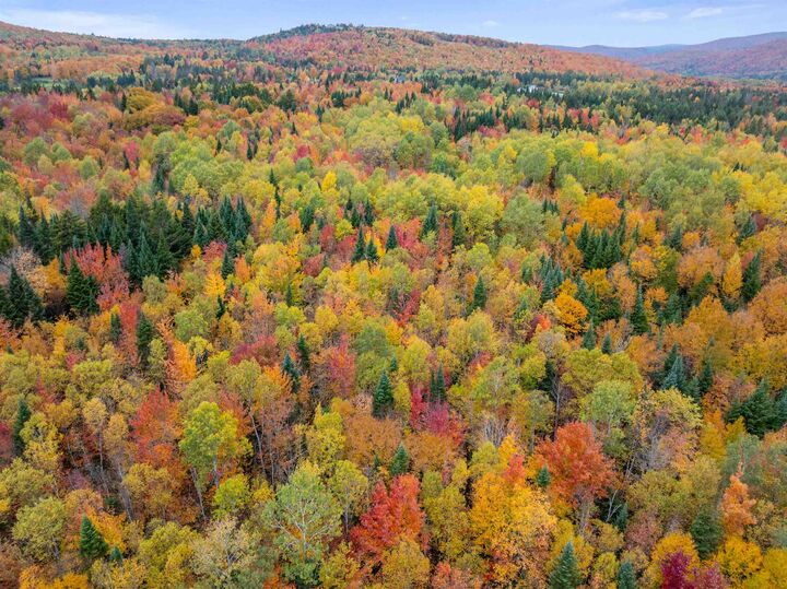 Property Photo: Minik Drive NH 03592
