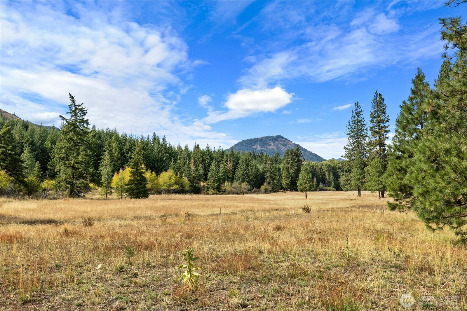 Property Photo:  27  Domerie Park Loop  WA 98922 