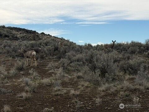 Property Photo:  0  Stirrup Pl  WA 98823 