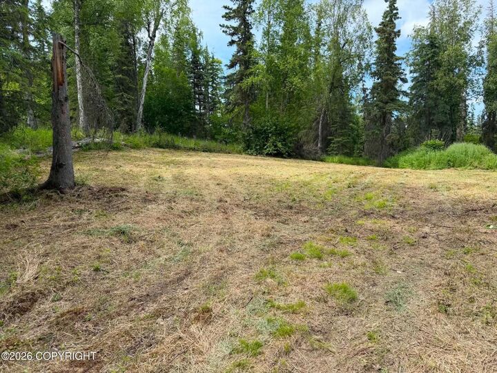 Property Photo:  40212 Arrowhead Avenue  AK 99669 